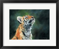 Tiger Cub Looking Up Fine Art Print