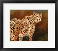 Cheetah10 Fine Art Print