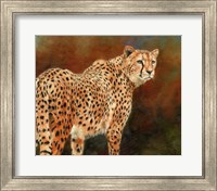 Cheetah10 Fine Art Print