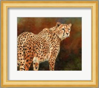 Cheetah10 Fine Art Print