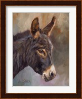 Donkey Fine Art Print