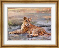 Lion Cub Resting Fine Art Print