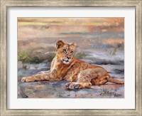 Lion Cub Resting Fine Art Print