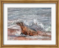 Sealion Fine Art Print