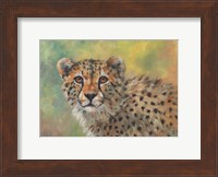 Cheetah Portrait Fine Art Print