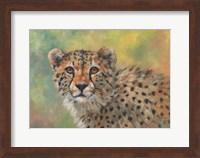 Cheetah Portrait Fine Art Print