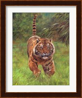 Sumatran Tiger Running Fine Art Print