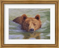 Brown Bear In Water Fine Art Print