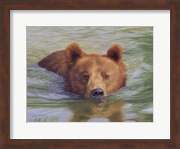 Brown Bear In Water Fine Art Print