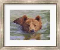 Brown Bear In Water Fine Art Print