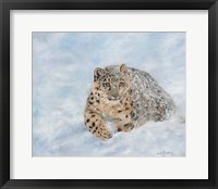 Snow Leopard Final Fine Art Print
