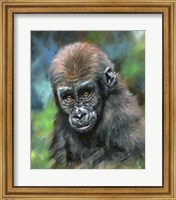 Baby Mountain Gorilla Fine Art Print