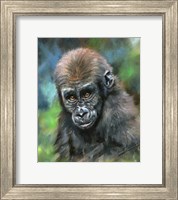 Baby Mountain Gorilla Fine Art Print