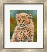 Cheetah Cub 3 Fine Art Print