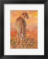 Cheetah Midday Sun Fine Art Print