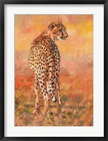 Cheetah Midday Sun Fine Art Print
