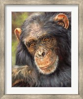 Chimp The Thinker Fine Art Print