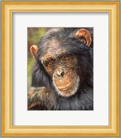 Chimp The Thinker Fine Art Print