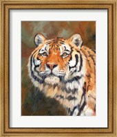 Tiger 1111 Fine Art Print