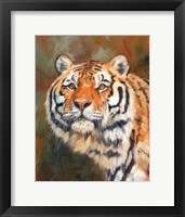 Tiger 1111 Fine Art Print