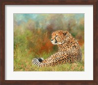 Cheetah Grass Fine Art Print