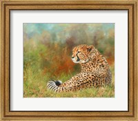 Cheetah Grass Fine Art Print