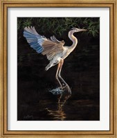 Heron Fine Art Print