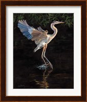 Heron Fine Art Print