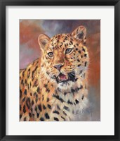 Leopard Gaze Fine Art Print