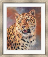 Leopard Gaze Fine Art Print