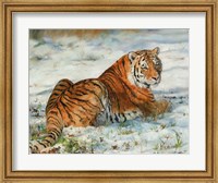 Tiger In Snow Fine Art Print