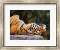 Tiger On Back Fine Art Print