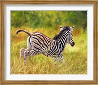 Young Zebra Running Fine Art Print