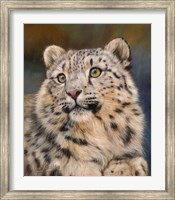 Snow Leopard 6 Fine Art Print