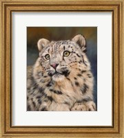 Snow Leopard 6 Fine Art Print