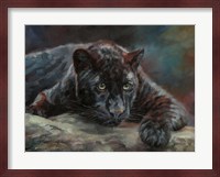 Black Panther 4 Fine Art Print