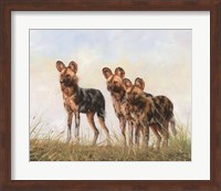 3 African Wild Dogs Fine Art Print