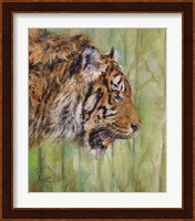 Amur Tiger Profile Fine Art Print