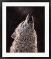 White Wolf Fine Art Print