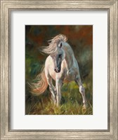White Horse Fine Art Print