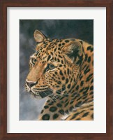 Leopard Portrait 2 Fine Art Print