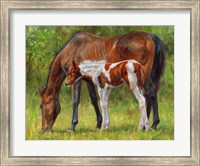 Horse And Foal Grazing Fine Art Print