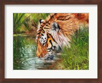 Tiger Quenching Thirst Fine Art Print