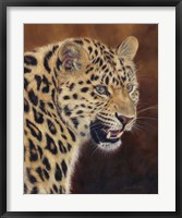 Leopard Growl Fine Art Print