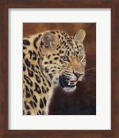 Leopard Growl Fine Art Print