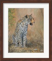 Leopard Fine Art Print