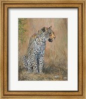 Leopard Fine Art Print