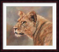 Lioness Portrait Fine Art Print