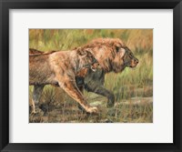 Lion And Lioness Fine Art Print