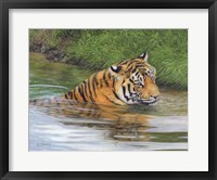 Tiger Water 2 Fine Art Print